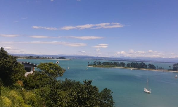 What To Do in Nelson City, New Zealand: photo 2