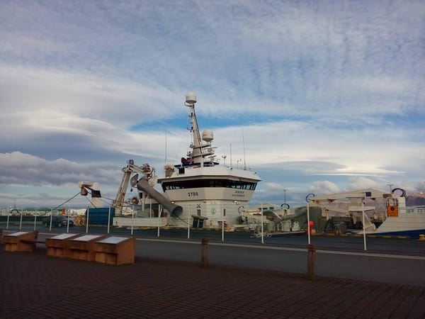 Iceland : The Land of Fire and Ice: photo 1