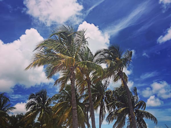 Miami Vice: One of the best cities!: photo 1