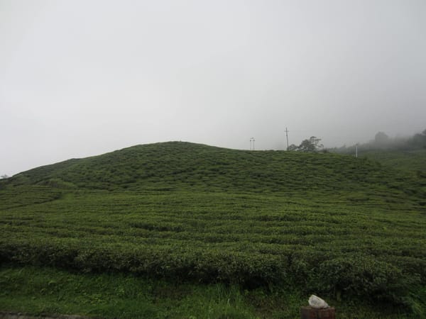 Exploring the Himalayan Shangri-La: Sikkim: photo 10