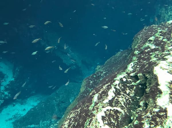 Know the Rivera Maya, Quintana Roo, Mexico.: photo 7