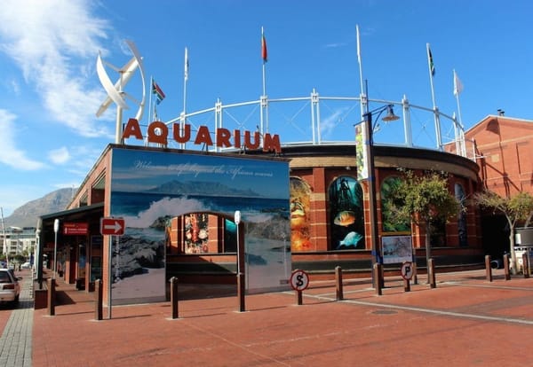 Cape Town: Tavern of the seas: photo 2