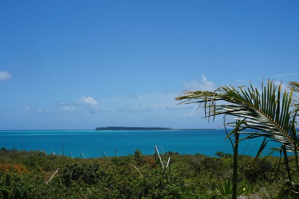 Isle of the Pines in New Caledonia - French paradise: photo 3