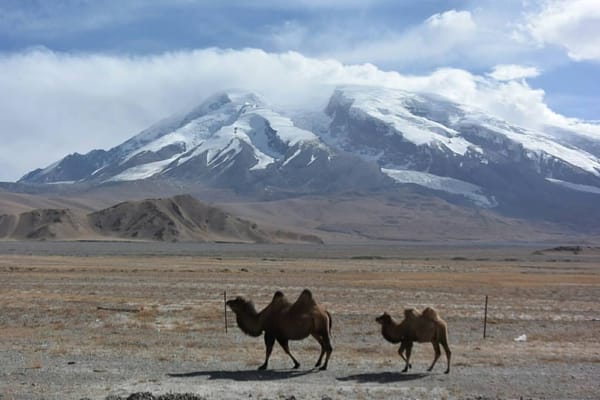 What to see and do in Mainland China: photo 18