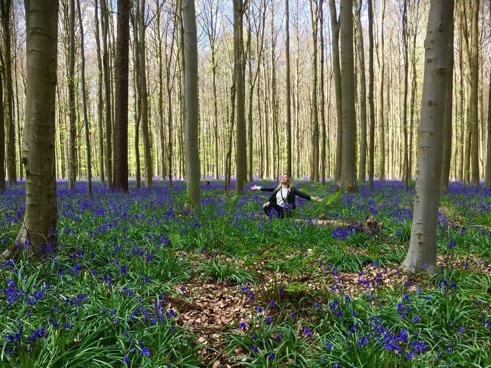 Have you seen the Blue Forest in Belgium?