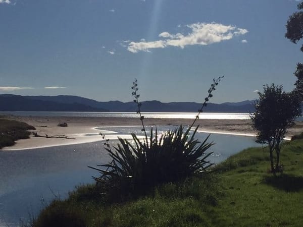 Coromandel Peninsula - The Ultimate Escape: photo 8