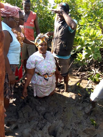 Staying safe on a mangrove site visit in Junda.: photo 7