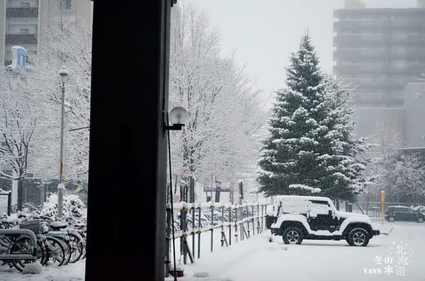 Winter Holiday in Hokkaido Japan for 7 days 5 nights: photo 27
