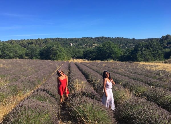 A drive thru the Luberon, Provence: photo 7