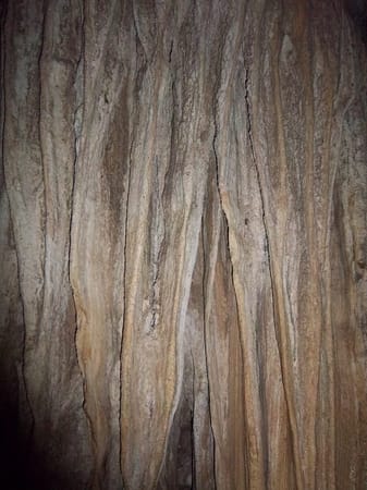 Interesting places to visit in Puerto Princesa: photo 14