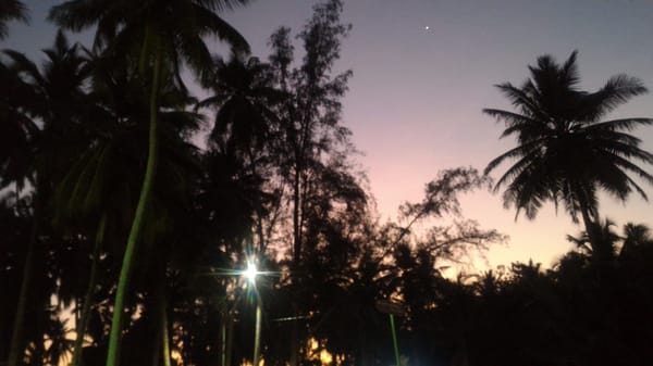 Andaman : The undisputed Paradise.: photo 4
