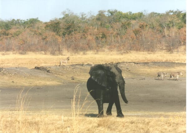 Africa  - the Beginning of a Lifetime Adventure: photo 16