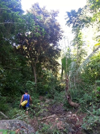 Cagayan de Oro: Rapids, Rappelling and Waterfall Chasing: photo 6