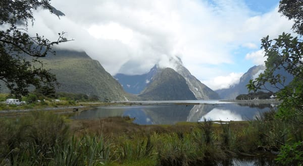 New Zealand’s Must-See Spots: photo 7