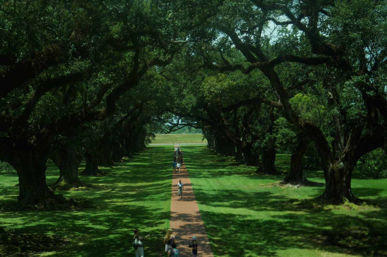 New Orleans in a rush: where to go when you are short on time