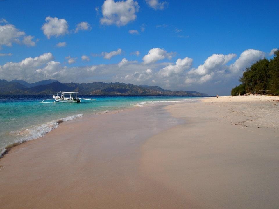 The Gili Islands: Which is the most venomous snake in the world?