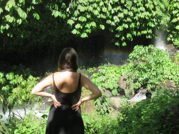 Sekumpul - Bali´s hidden Waterfall: photo 10