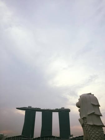 SINGAPORE: A LAYOVER CHALLENGE: photo 3