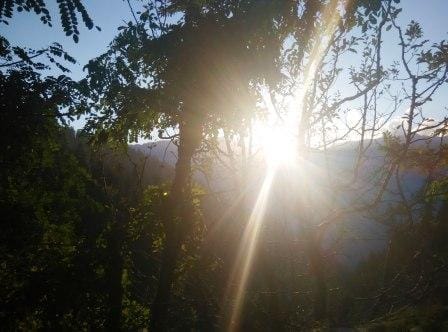Himachal Pradesh: Travelling like a local (Day1): photo 11