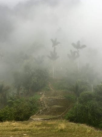 What to Expect from the Trek to the Lost City of Santa Marta: photo 7
