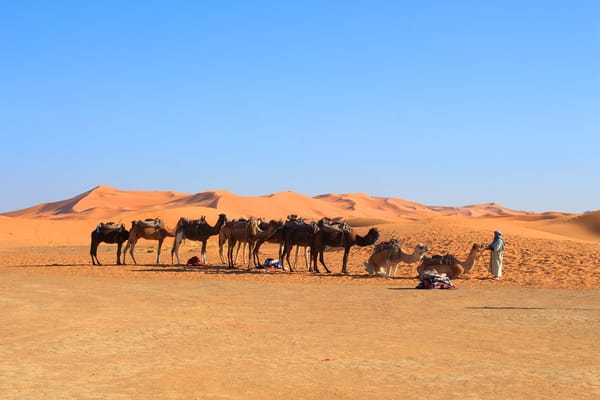 Merzouga Desert: Exploring Sahara On A Camel: photo 6