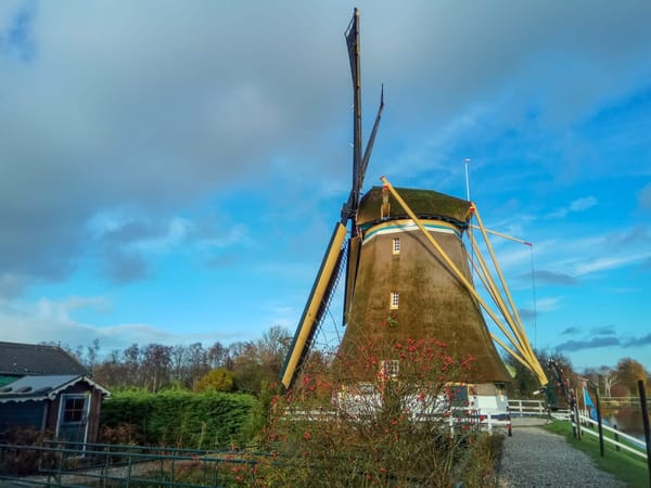 Top 5 cities to visit in the Netherlands: photo 1
