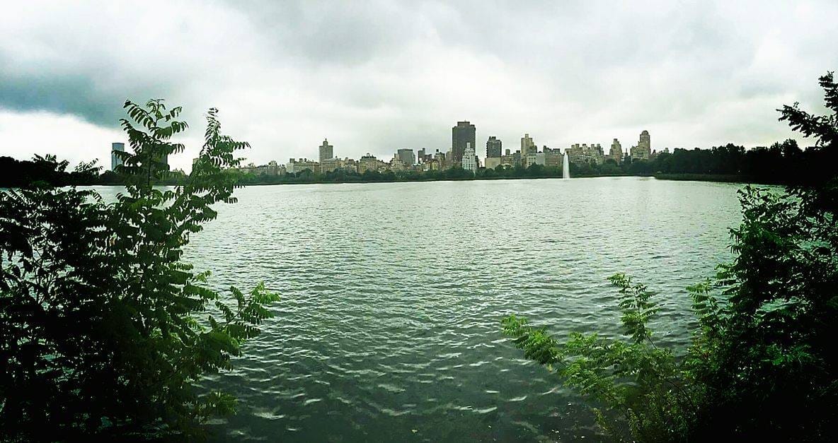 What and where to go in New York: part 1