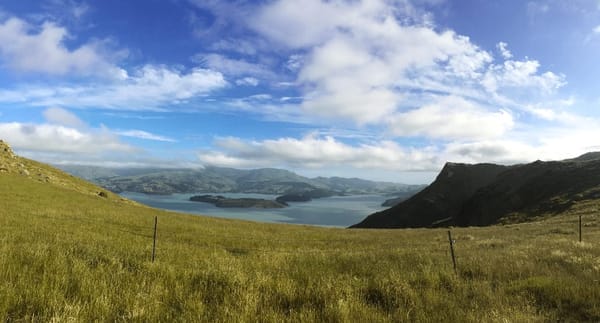 New Zealand’s Must-See Spots: photo 6
