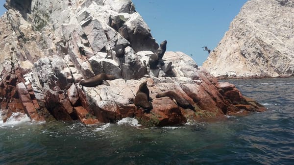My trip to Peru: colours, smiles and a thousand landscapes: photo 2
