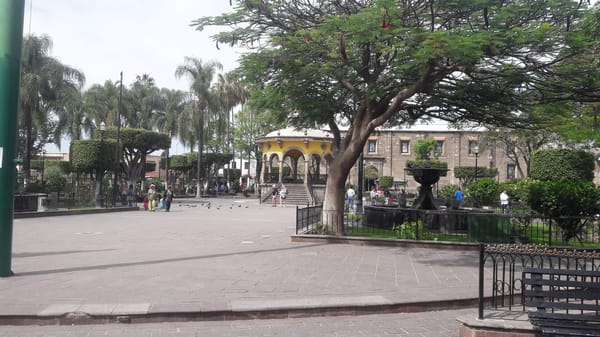 Living by myself in Guadalajara, Jalisco: photo 2
