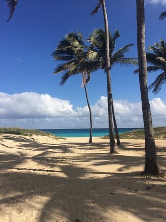 Do’s and Dont’s for an Amazing Trip to Cuba: photo 6