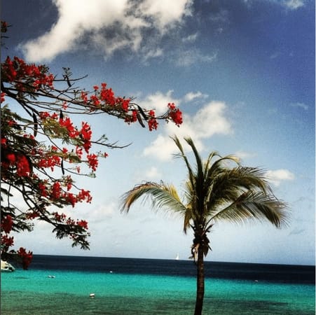 Bonaire: The B in the ABC of the Caribbean: photo 4