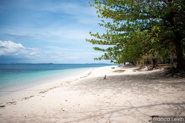 What to see in Coron: secret paradises: photo 4