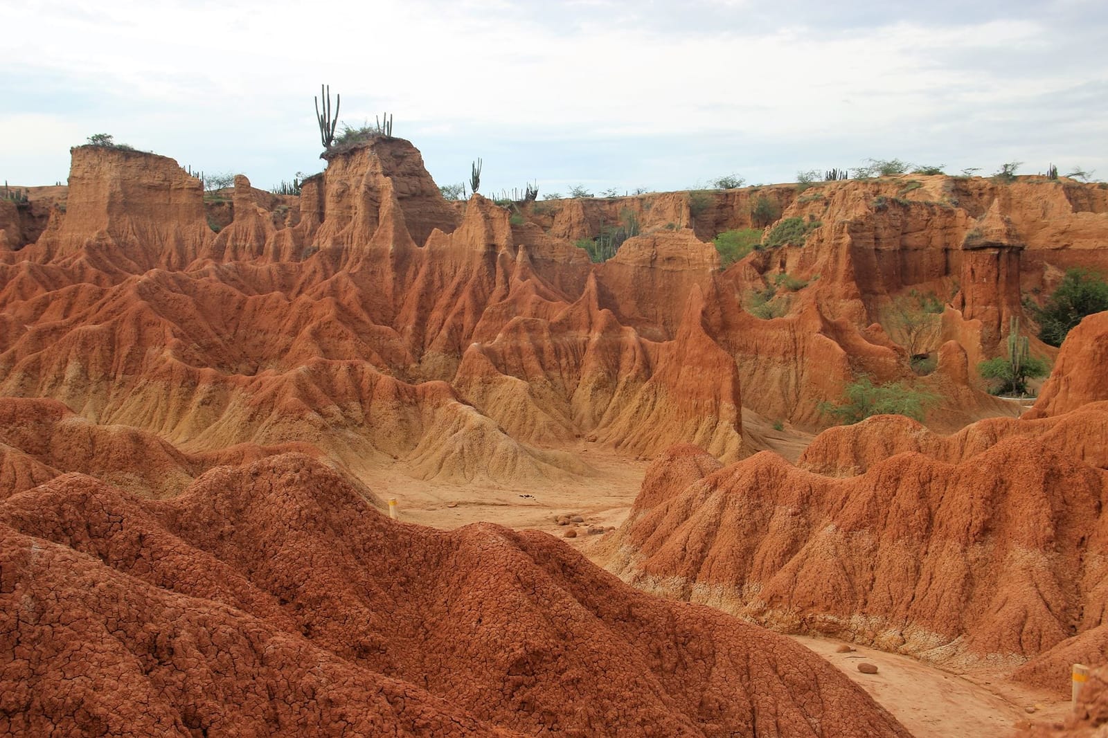 5 reasons why you should visit the Tatacoa Desert