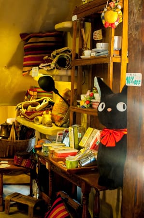 A Whimsical Experience in Hamamatsu, Japan: photo 8