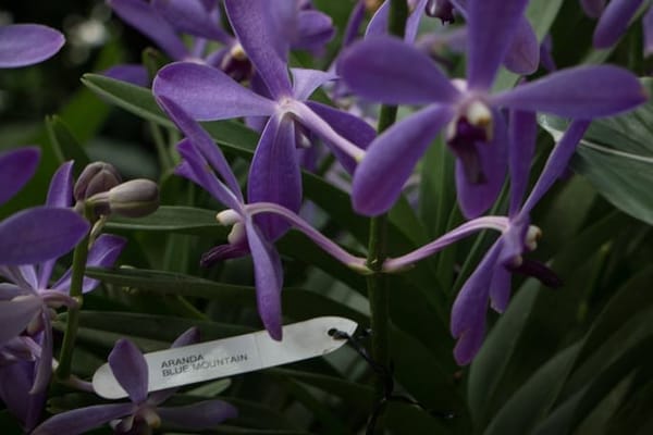 Singapore: Get Closer to Nature: photo 23