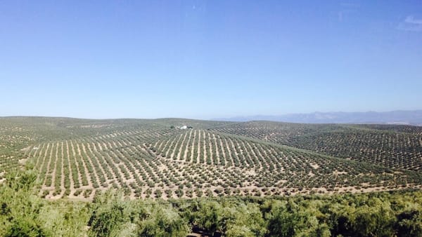 Visit Jaén: Andalusia’s Hidden Gem: photo 1