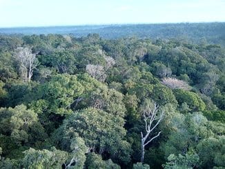Manaus part 01: Finding green areas: photo 6