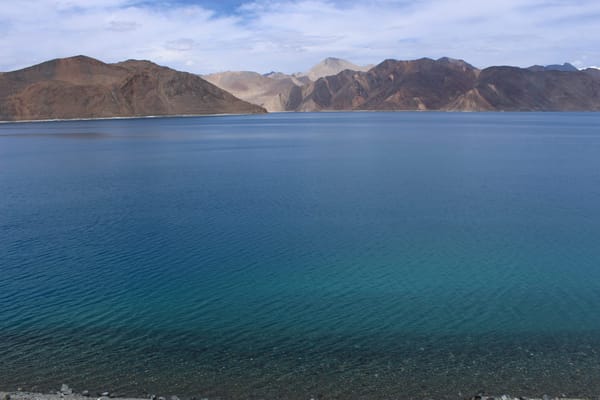 A trip to Ladakh: Pangong Lake, Nubra Valley and Monastries: photo 2