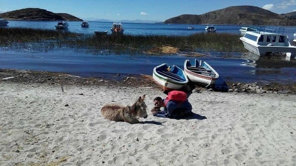 Exploring Lake Titicaca: photo 2