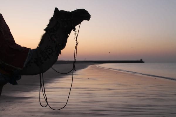 A Solo Bike Trip In The Lands Of Gujarat: photo 3