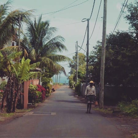 Mauritius: Somewhere In the Very Middle of the Ocean: photo 10
