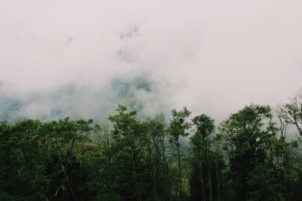 Salento and the Valle de Colombia: Colombia's Coffee Region Gems: photo 6