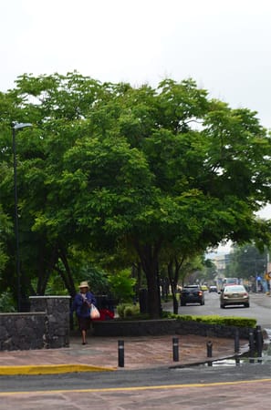 Queretaro: Mexico's must visit colonial city: photo 18