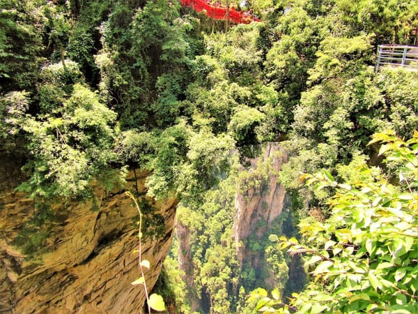 Nature’s Miracles: Avatar Mountains in Zhangjiajie, China: photo 7
