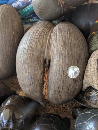 Best Places To Visit In Seychelles: photo 3