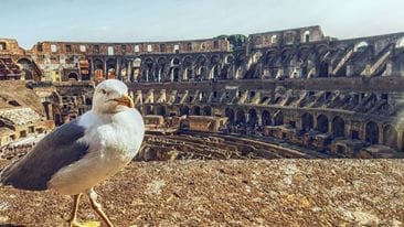 Rome, Italy: Places to visit