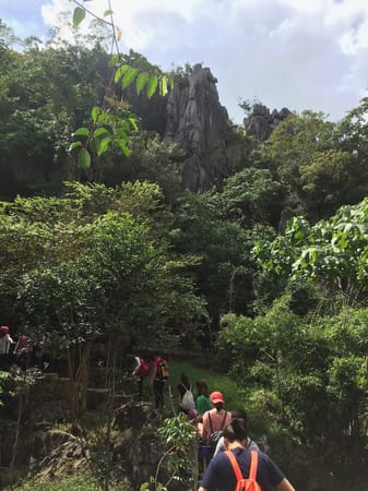 A Thrilling Treetop Adventure in Masungi Georeserve: photo 13