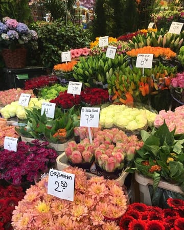 Amsterdam in Spring: What to do and where to go.: photo 2