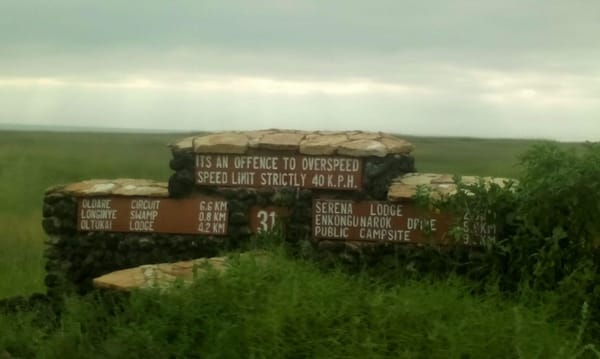 Amboseli Bound, Kajiado County, Kenya: photo 19